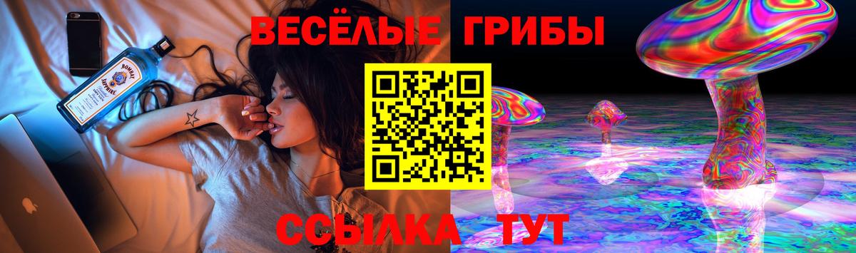 Псилоцибиновые грибы GOLDEN TEACHER  где продают наркотики  Златоуст  Вход с VPN 